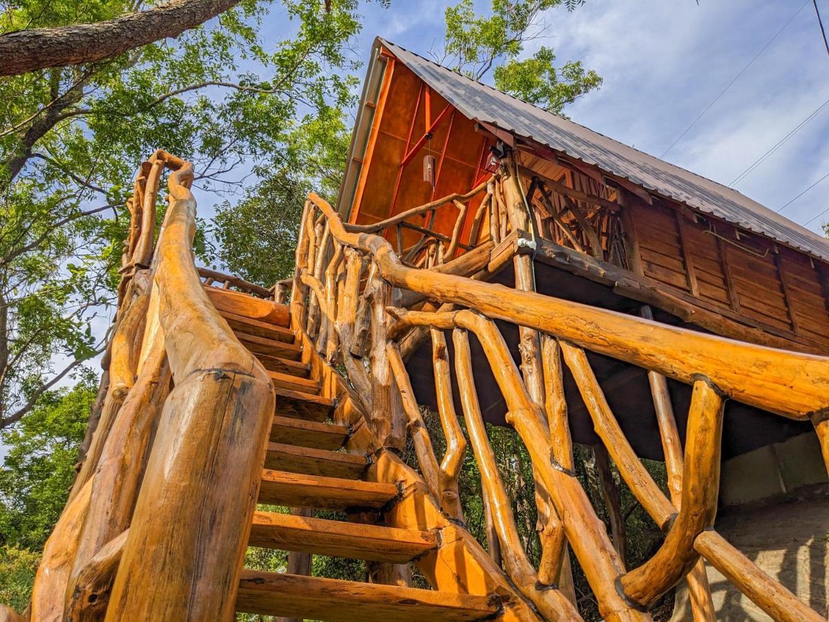 Wooden Cabana Sigiriya Eksteriør bilde