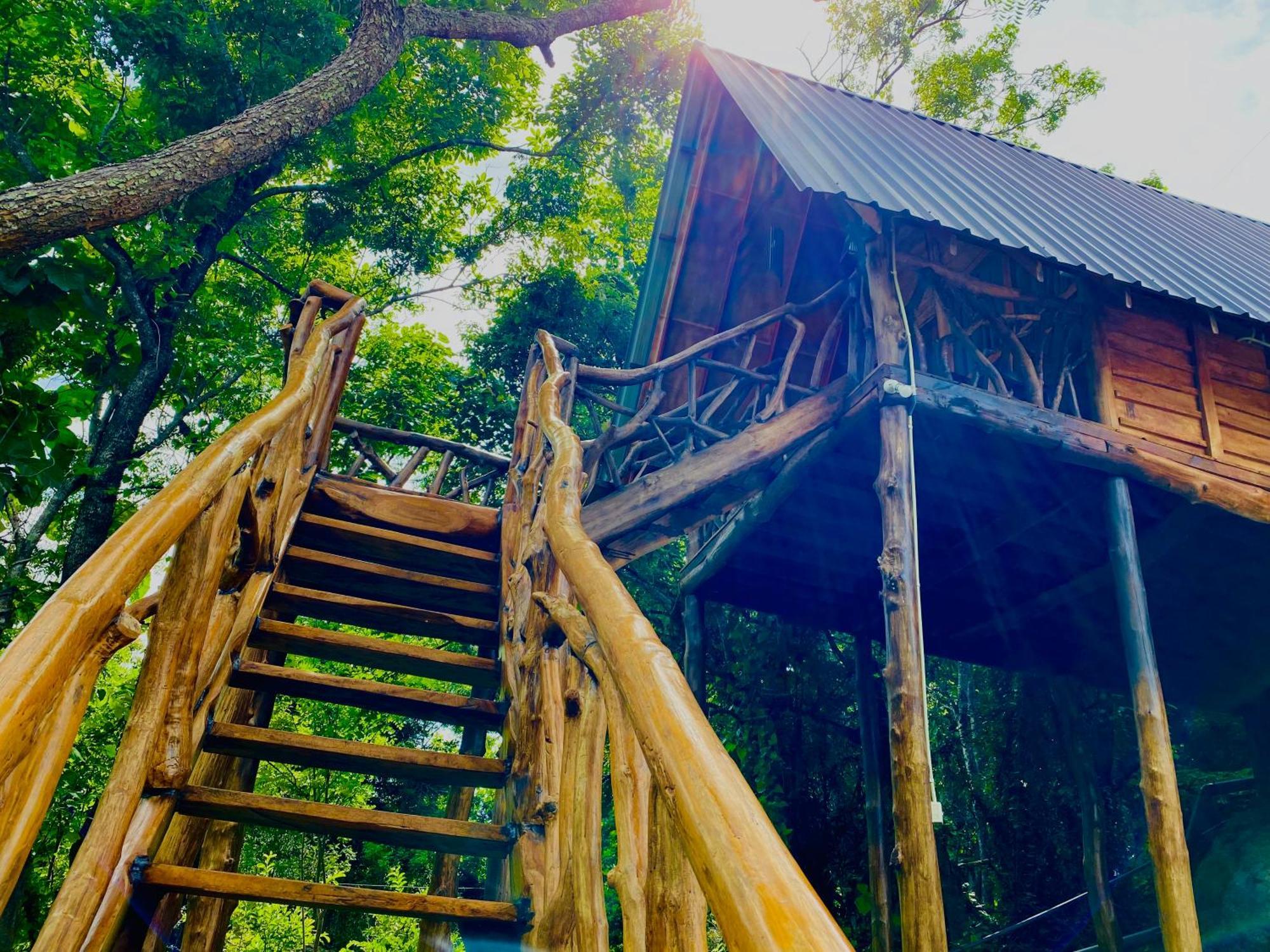 Wooden Cabana Sigiriya Eksteriør bilde